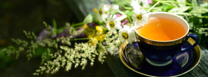 Chamomile for anxiety