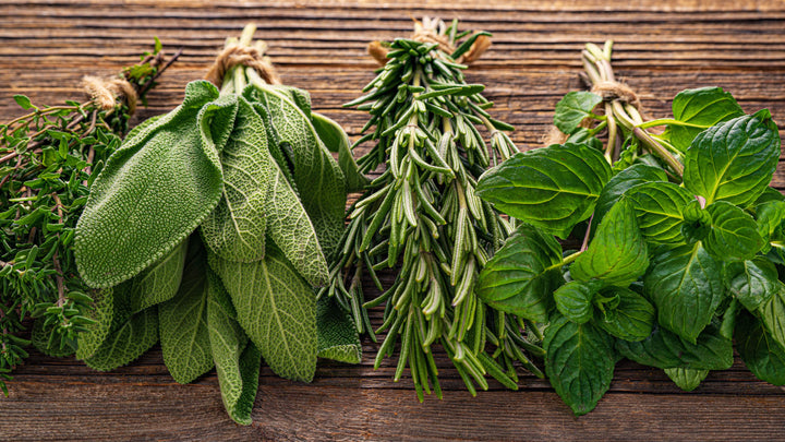 Fresh Herbs: Adding great flavor & nutrients to your dishes