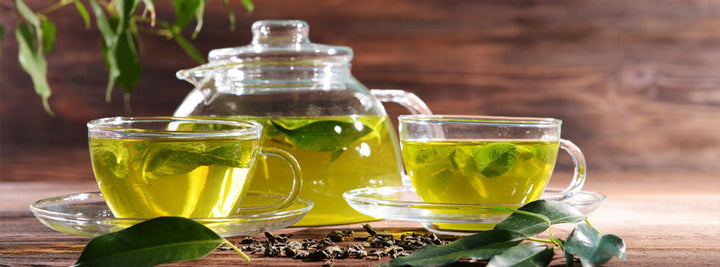 Green Tea - Cancer prevention and Longevity