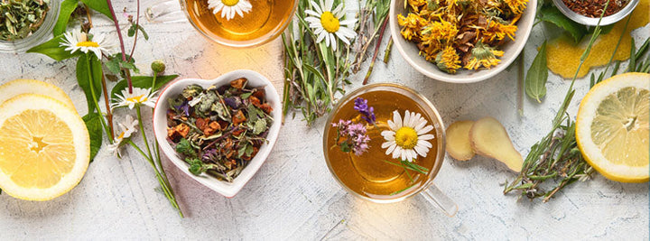 Gut Healing Teas
