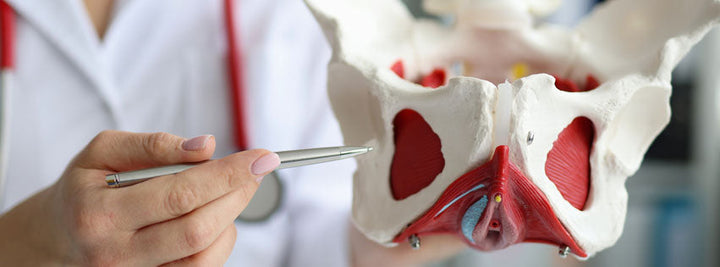 Bone support