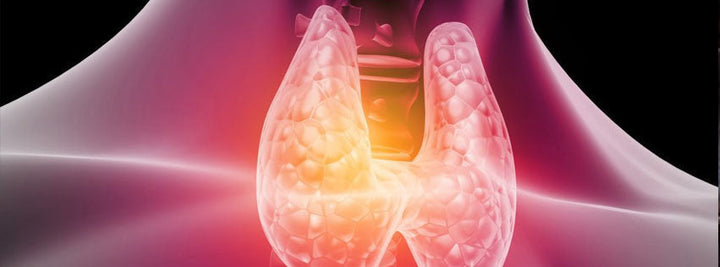 Thyroid 101 - Part 1